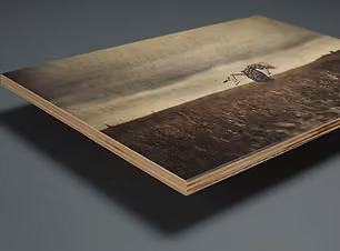 Fine Art Wood Prints